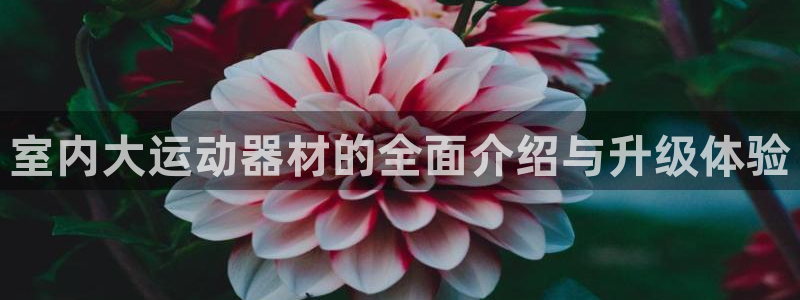 xk星空体育官方正版app娱乐是那个系列的台子：室内