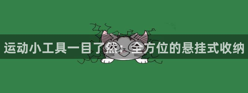 xk星空体育官网下载平台注册流程视频：运动小工具一目了然：全