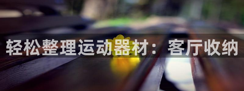 xk星空体育官网下载平台是正规平台吗知乎：轻松整理运动器材：