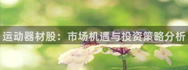 xk星空体育官网下载开户：运动器材股：市场机遇与投资策略分析
