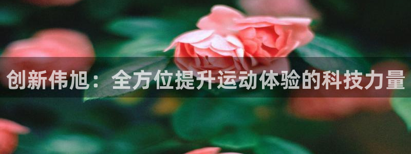 xk星空体育官方正版app科技：创新伟旭：全方位提升