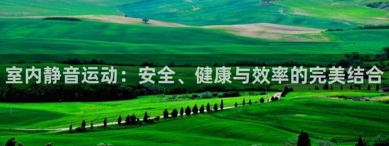 xk星空体育官方正版app代理