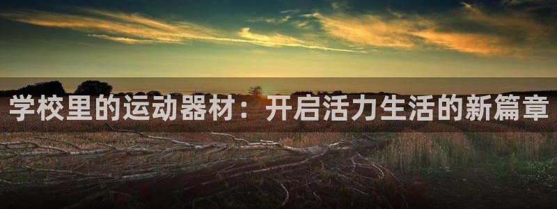 xk星空体育官方正版app开户：学校里的运动器材：开启活力生