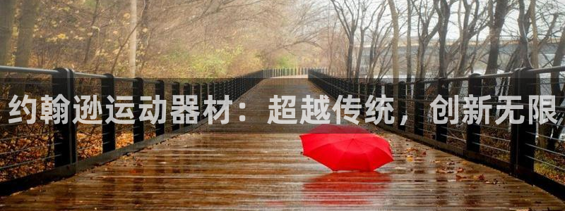 xk星空体育官方正版app集团E.ON：约翰逊运动器材：超越