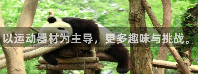 xk星空体育官网下载招商电话地址是多少