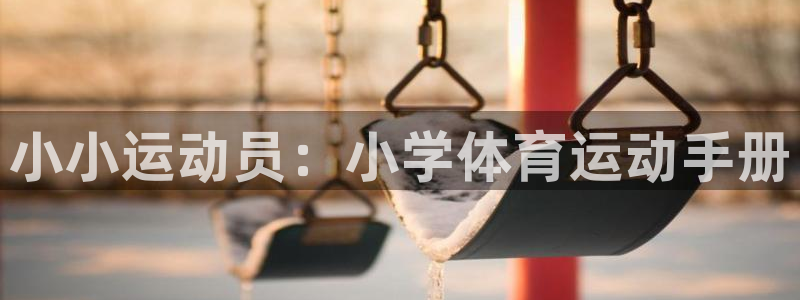 必威betway西汉姆联：小小运动员：小学体育运动手册