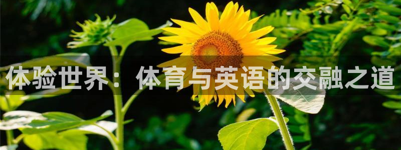 必威betway西汉姆联：体验世界：体育与英语的交融之道