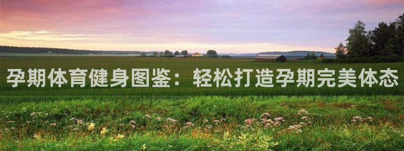 betway西汉姆：孕期体育健身图鉴：轻松打造孕期完美体态